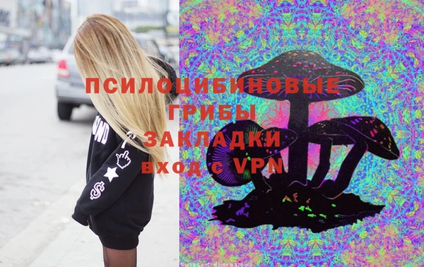 СК Кодинск