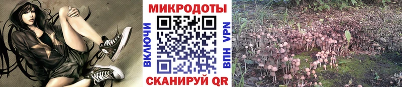 Псилоцибиновые грибы Magic Shrooms  Купить где  Глазов 